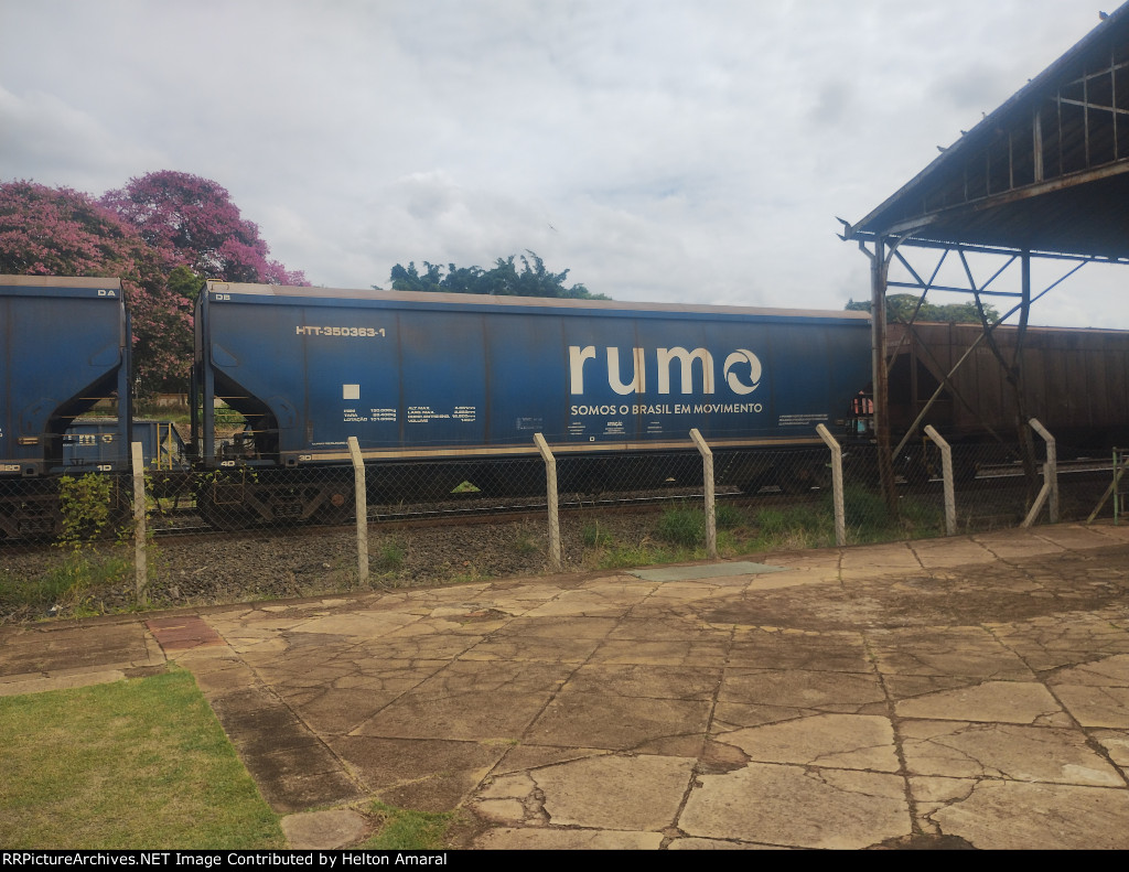 RUMO HTT-350363-1